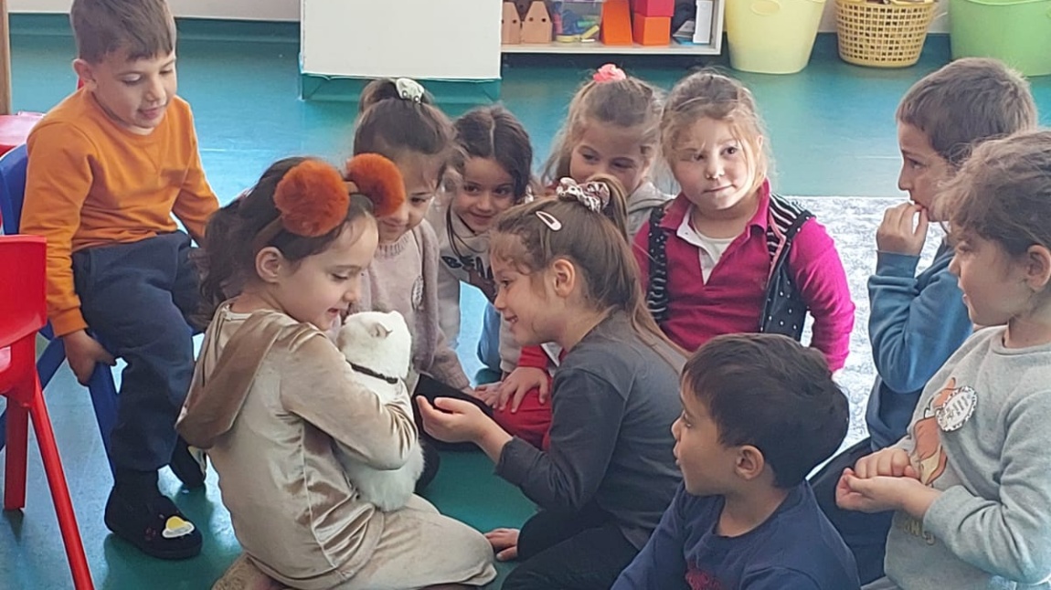 4 EKİM DÜNYA HAYVANLARI KORUMA GÜNÜ 